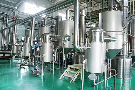 Lactobacillus gasseri
