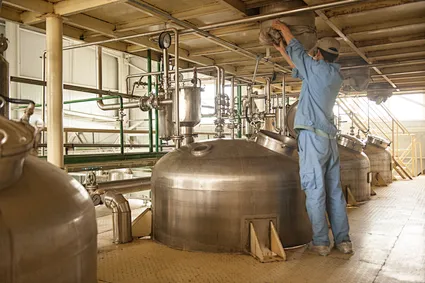 Lactobacillus gasseri